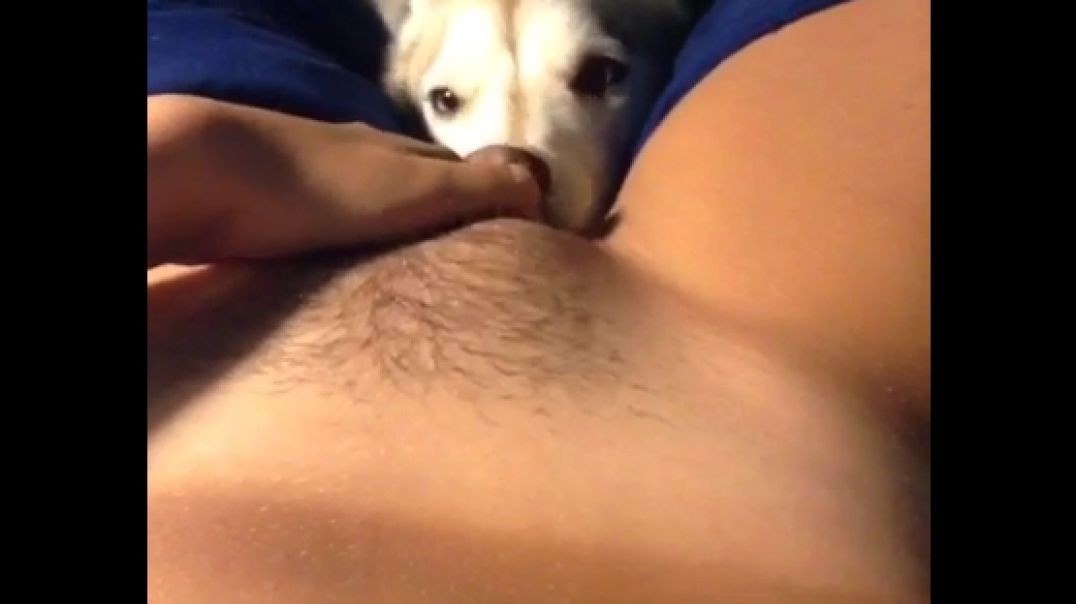 Bestiality of a girl with a dog